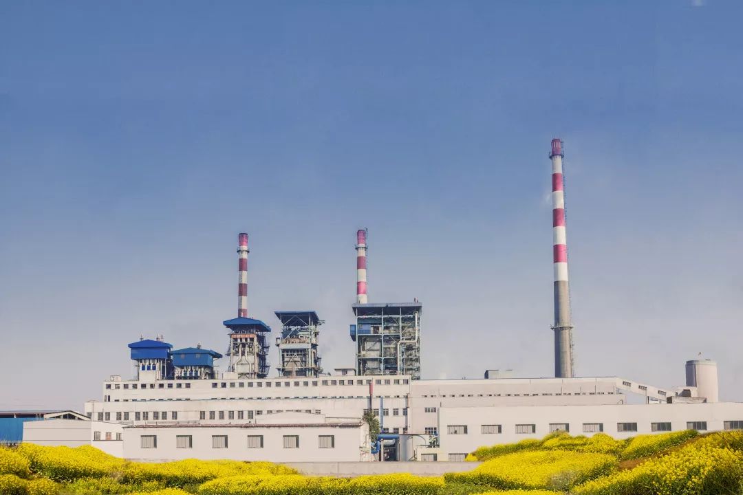 老骥伏枥的热电带头人——谢百军(图2) 老骥伏枥的热电带头人——谢百军(图2)