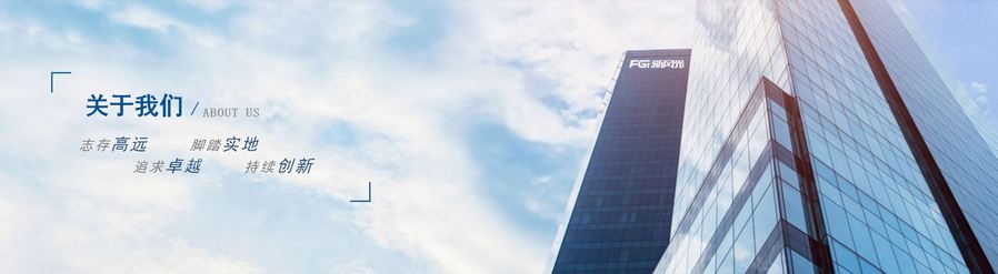 新风光电子科技股份有限公司(图1)